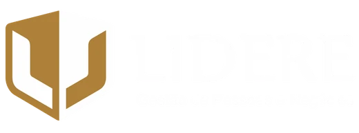 Lidere Gestão de Pessoas e Negócios